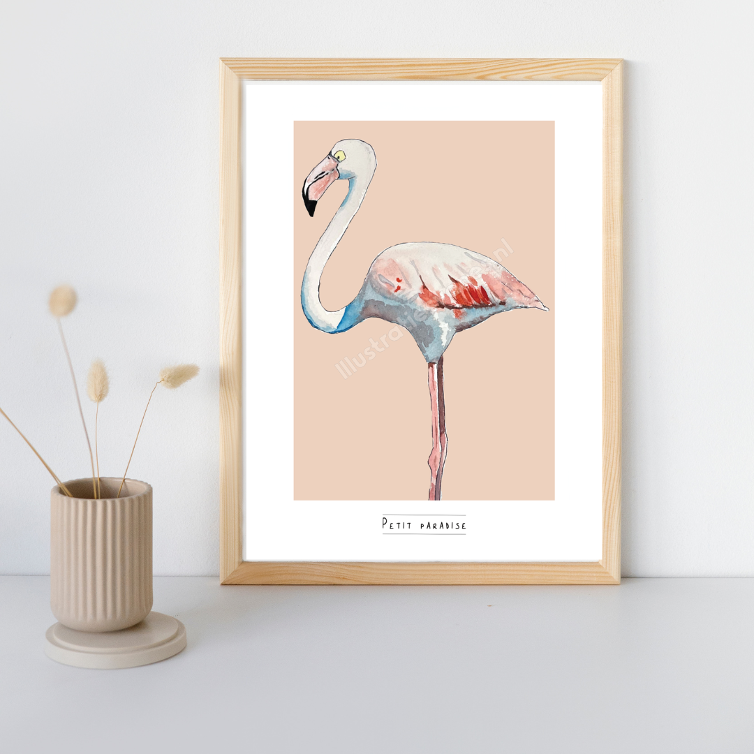 Flamingo