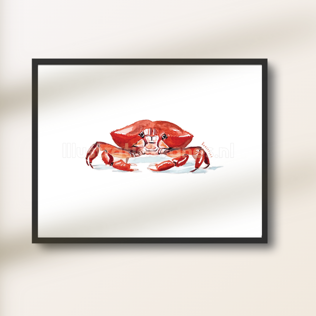 Krab Poster